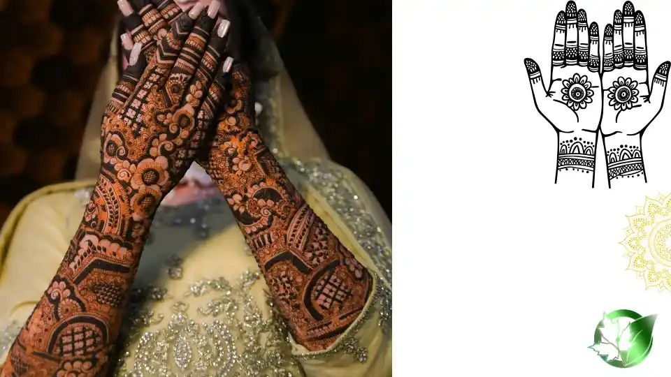 Supply partner evaluation for Black Henna should cover specification, packaging, paperwork, logistics, and true import cost.